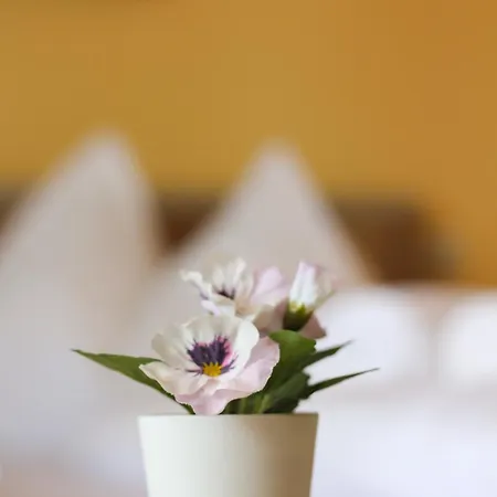 Self-check In Seeglueck Hostel Portschach am Woerthersee