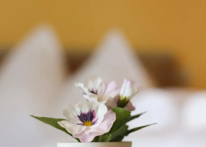 Self-check In Seeglueck Hostel Portschach am Woerthersee